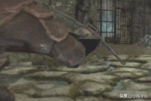 上古世纪 装备强化碎片怎么用,装备品质分几个等级怎么样升?